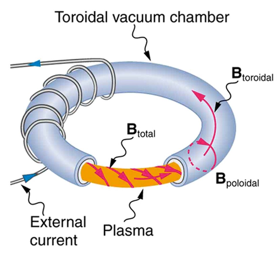Schematic of a tokamak fusion reactor
